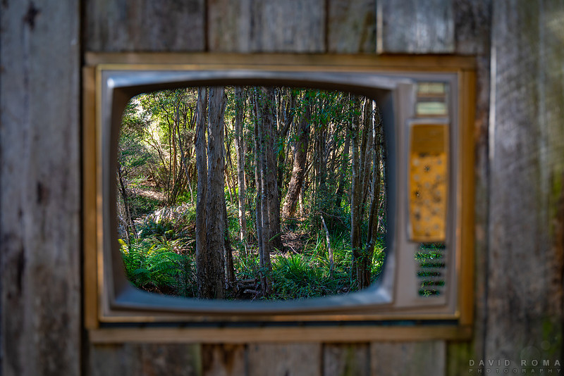 Channel Nature