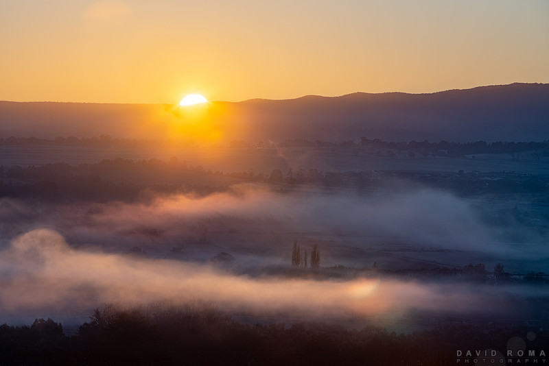 Morning Sun
