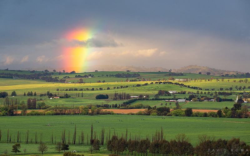 Green Rainbows