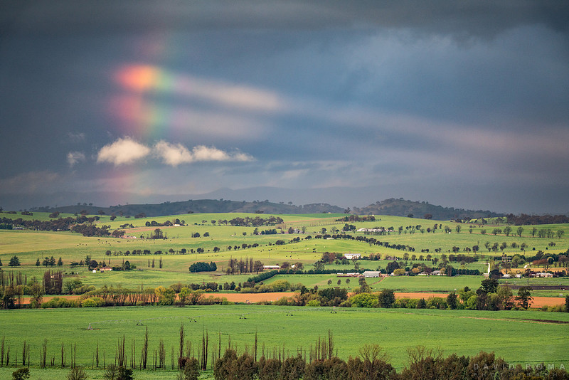 Rainbow Rays
