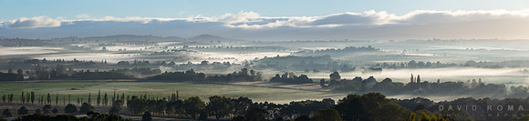 Foggy Autumn Mornings