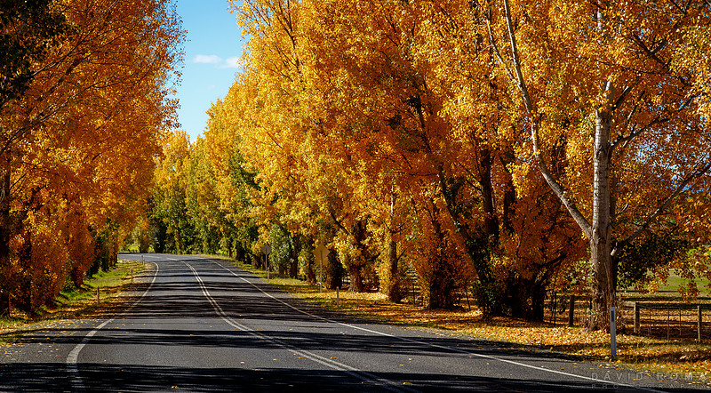 Welcome Autumn - Bathurst, NSW, Australia