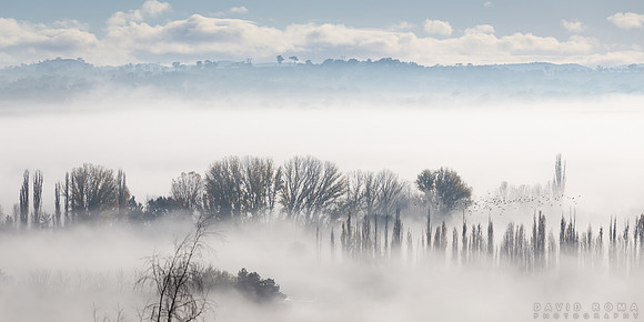 Flying foggy mornings
